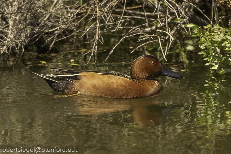 emily renzel wetlands 2023